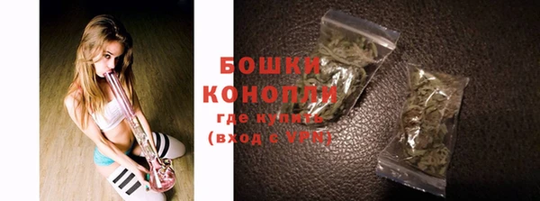 молекула духа Арсеньев