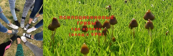 a pvp Алзамай