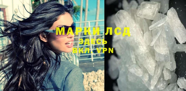 молекула духа Арсеньев